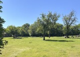 IMG_6444.JPG