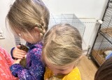 IMG_6586.JPG