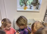 IMG_6585.JPG