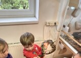 IMG_6605.JPG