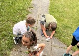 IMG_6768.JPG