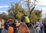 IMG_7554.JPG