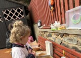 IMG_7563.JPG