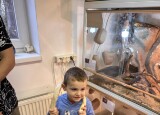 IMG_7708.JPG