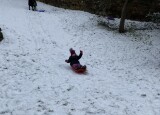IMG_0168.JPEG