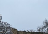 E80E216A-7D1E-4C87-830E-33EF5BC7CF37.JPG
