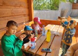IMG20250520115753.jpg
