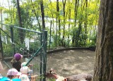 IMG20250520111512.jpg