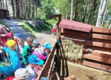 IMG20250520123308.jpg