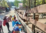 IMG20250520110037.jpg