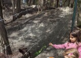IMG20250520111550.jpg