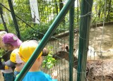 IMG20250520111359.jpg