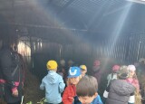 IMG20250520101442.jpg