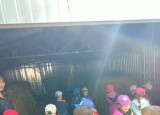 IMG20250520101440.jpg