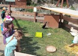 IMG20250520103338.jpg