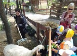 IMG20250520110424.jpg