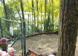 IMG20250520111511.jpg