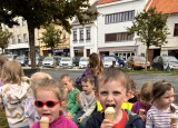 IMG_9428.JPG