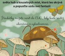 náhledová fotka novinky